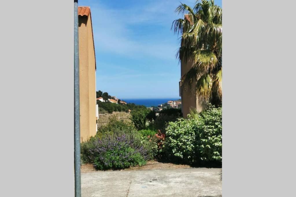 Appartement Fonctionnel Hauteurs De Collioure Exterior foto